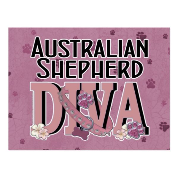 Australian Shepherd DIVA Postcard