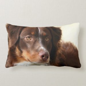 Australian Shepherd Lumbar Pillow