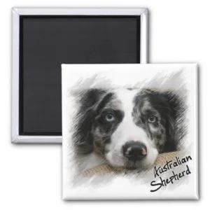 Australian Shepherd Magnet