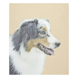 Australian Shepherd Painting - Original Dog Art Fleece Blanket