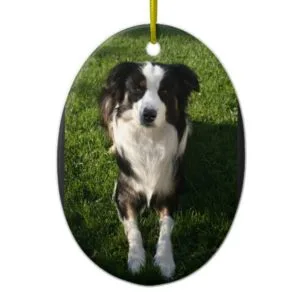 Australian Shepherd Photo  Ornament