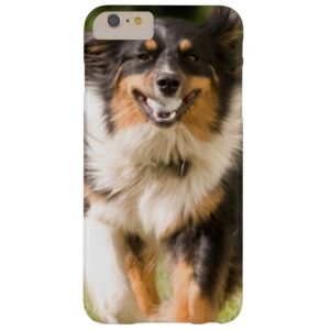 Australian Shepherd Playing With Ball Case-Mate iPhone Case
