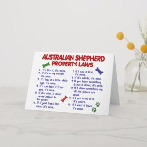 AUSTRALIAN SHEPHERD Property Laws 2 Card