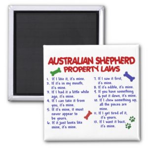 AUSTRALIAN SHEPHERD Property Laws 2 Magnet
