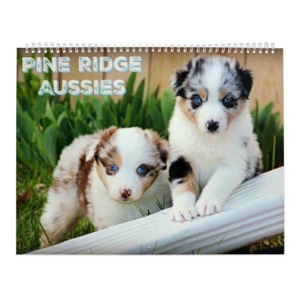 Australian Shepherd Puppies Calendar