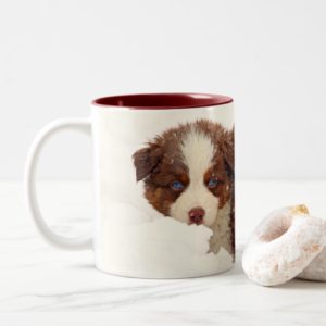 Australian Shepherd Puppies Two-Tone Coffee Mug