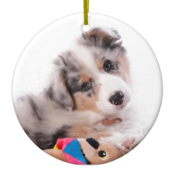 Australian shepherd puppy ceramic ornament