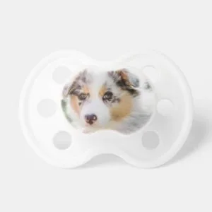 Australian shepherd puppy pacifier