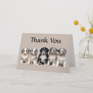 Australian Shepherd Thank You Puppy Card