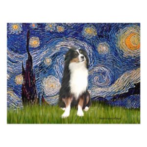 Australian Shepherd (Tri2) - Starry Night Postcard