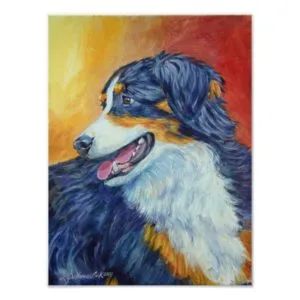 Australian Shepherd Wall Print