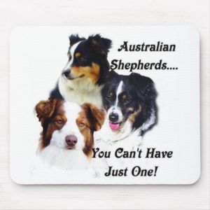 Australian shepherds mouse pad
