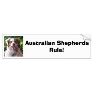 Australian Shepherds Rule! Bumper Sticker