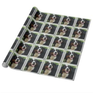 Baby Bernese Mountain Dog Wrapping Paper