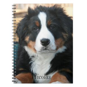 Beautiful Bernese Mountain Dog Notebook