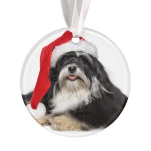 Beautiful Christmas Havanese Dog With Santa Hat Ornament