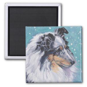 Beautiful Sheltie Shetland Sheepdog Fine Art Magnet