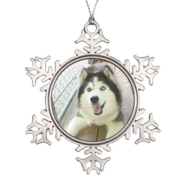 Beautiful Siberian Husky Ornament