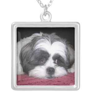 Belle The Shih Tzu Dog Silver Plated Necklace