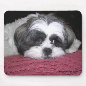 Belle The Shih Tzu Mouse Pad