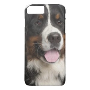 Bernese Mountain Dog (1 year old) Case-Mate iPhone Case
