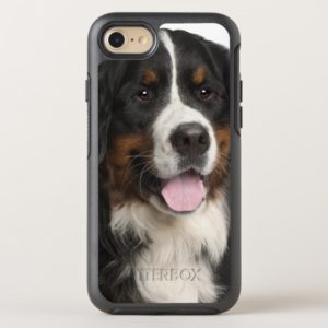 Bernese Mountain Dog (1 year old) OtterBox iPhone Case