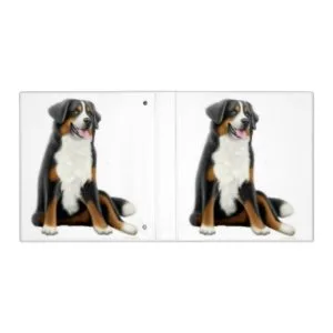 Bernese Mountain Dog Avery Binder