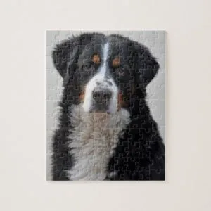 Bernese Mountain dog beautiful photo jigsaw puzzle