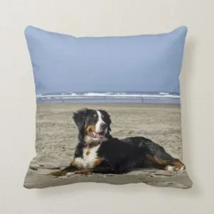 Bernese Mountain dog beautiful photo throw pillow