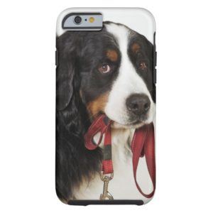 Bernese Mountain Dog (Berner Sennenhund) Case-Mate iPhone Case