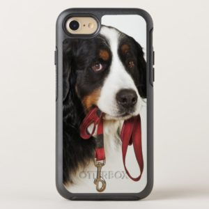 Bernese Mountain Dog (Berner Sennenhund) OtterBox iPhone Case