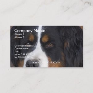 Bernese Mountain Dog Business Card