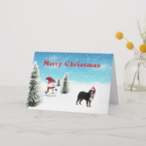 Bernese Mountain dog christmas card