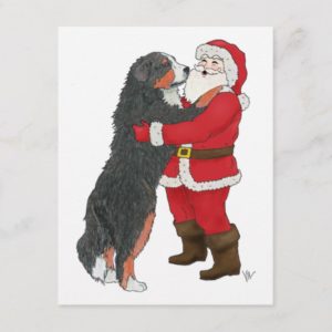 Bernese Mountain Dog Christmas Greeting Holiday Postcard