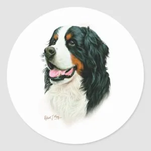 Bernese Mountain Dog Classic Round Sticker