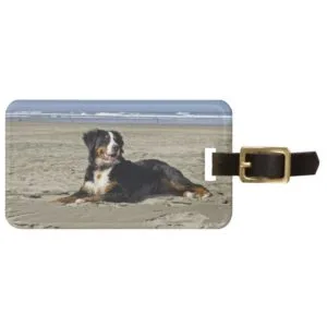 Bernese Mountain dog custom name luggage tag