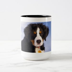 Bernese Mountain Dog - Cute Puppy Photo Two-Tone Coffee Mug