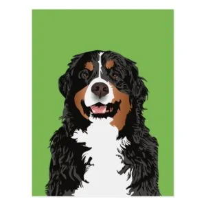 BERNESE MOUNTAIN DOG FOR BERNESE MOUNTAIN PARENT POSTCARD