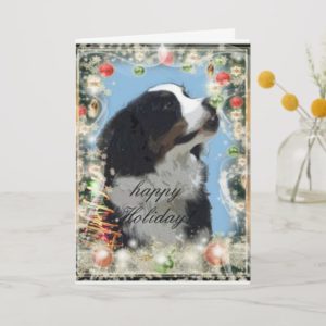 Bernese Mountain Dog greeting card
