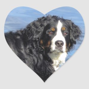 Bernese Mountain Dog Heart Sticker
