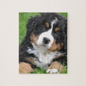 Bernese Mountain Dog Jigsaw Puzzle