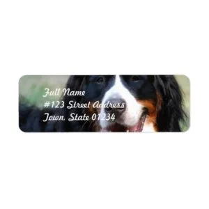 Bernese Mountain Dog Label