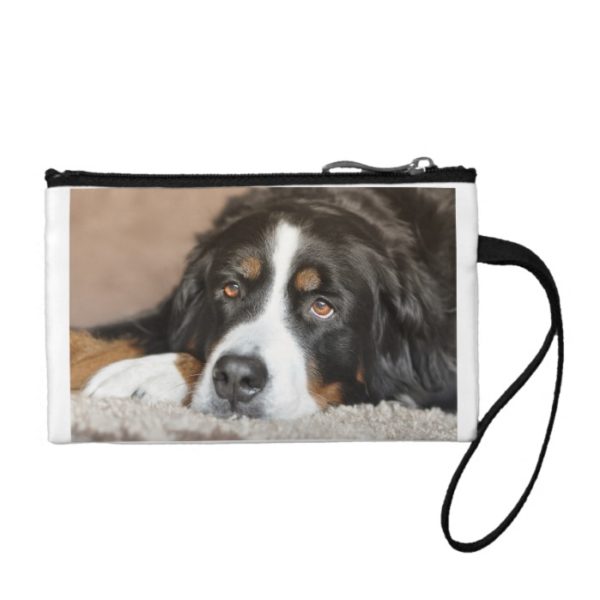 bernese mountain dog laying coin purse