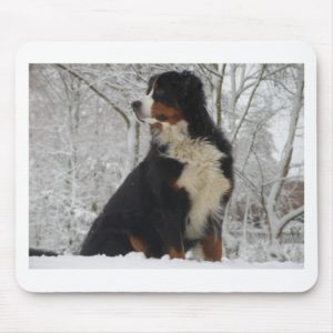 Bernese Mountain Dog Mouse Pad