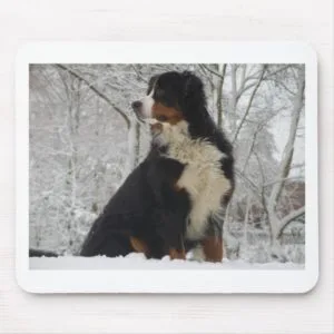 Bernese Mountain Dog Mouse Pad