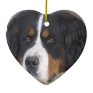 Bernese Mountain Dog Ornament