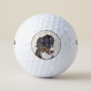 Bernese Mountain Dog Painting - Original Dog Art Golf Balls