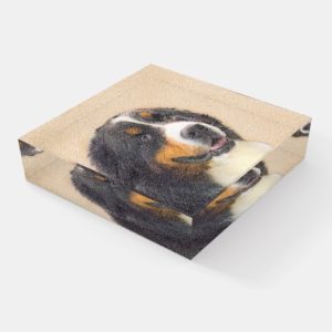 Bernese Mountain Dog Painting - Original Dog Art Paperweight