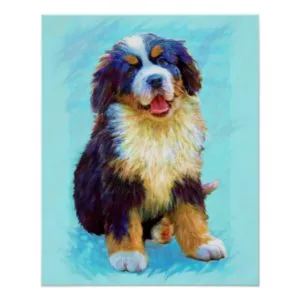 bernese mountain dog poster