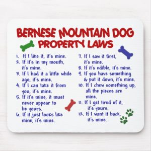 BERNESE MOUNTAIN DOG Property Laws 2 Mouse Pad